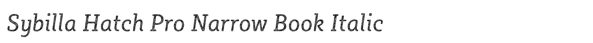 Sybilla Hatch Pro Narrow Book Italic image